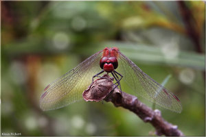 sample 8.jpg sample 8.jpg