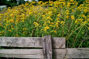 comp_20130814-163623.jpg comp_20130814-163623.jpg