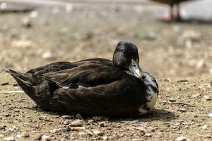 comp__DSC2608.jpg comp__DSC2608.jpg