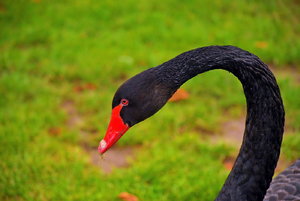 JPG_2735_Bildgröße ändern.JPG JPG_2735_Bildgröße ändern.JPG