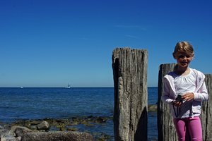 comp_DSC07672.jpg comp_DSC07672.jpg