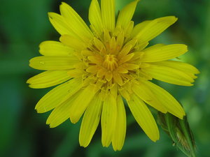 Schwarzwaldtour 77_Bildgröße ändern.JPG Schwarzwaldtour 77_Bildgröße ändern.JPG