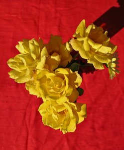 comp_Rosen-Garten 072- Goldmarie.jpg comp_Rosen-Garten 072- Goldmarie.jpg