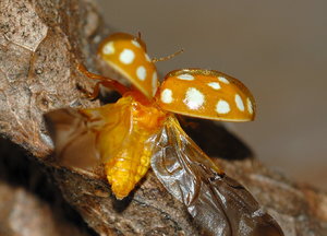 DSa_0099_copy.jpg DSa_0099_copy.jpg