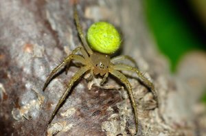 DSC_g2649_copy.jpg DSC_g2649_copy.jpg