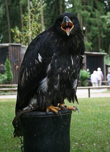 comp_Ausflug-Hellenthal 056-2.jpg