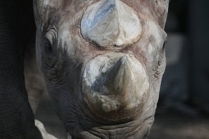 zooIMG_9541.jpg
