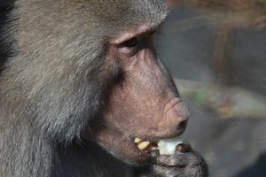 zooIMG_9573.jpg