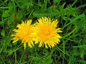 Urlaub in Wildsteig_06_Bildgröße ändern.jpg Urlaub in Wildsteig_06_Bildgröße ändern.jpg