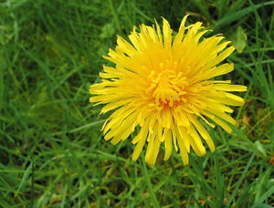 Urlaub in Wildsteig_07 ä_Bildgröße ändern.jpg Urlaub in Wildsteig_07 ä_Bildgröße ändern.jpg