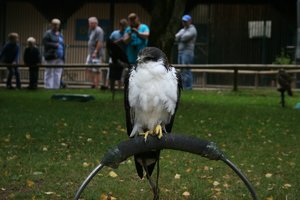 comp_Ausflug-Hellenthal 078.jpg