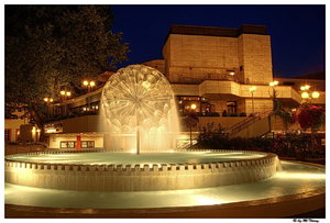 Pusteblume verkleinert.jpg