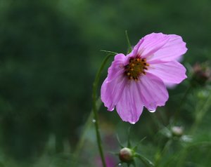 comp_schooting altes Glas 027-02.jpg