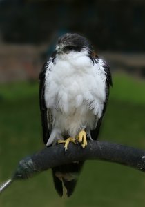 comp_Ausflug-Hellenthal 078-0002.jpg