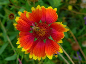 P1020013_Bildgröße ändern.JPG