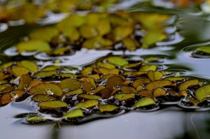 DSC_3308_ji_c.jpg DSC_3308_ji_c.jpg