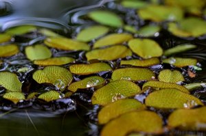 DSC_3312_ji_c.jpg DSC_3312_ji_c.jpg