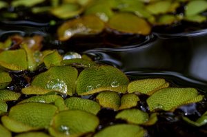 DSC_3320_ji_c.jpg DSC_3320_ji_c.jpg