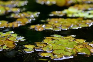 DSC_3325_ji_c.jpg DSC_3325_ji_c.jpg