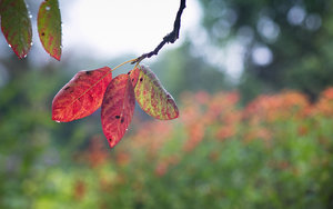 20130825-059 bearb..jpg