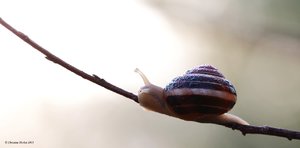 IMG_7757.JPG IMG_7757.JPG