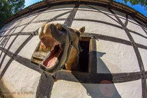 IMG_9261.jpg IMG_9261.jpg