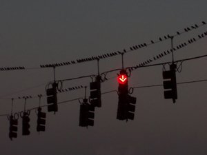 comp_Richtung Süden.jpg