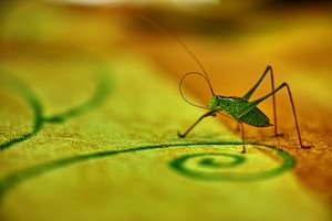 bf_DP3M0217 Kopie.jpg