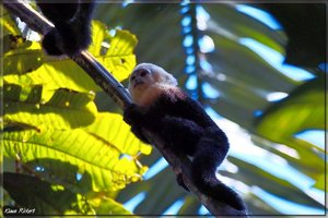 Costa Rica 043.jpg Costa Rica 043.jpg