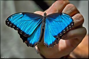 Costa Rica 058.jpg Costa Rica 058.jpg