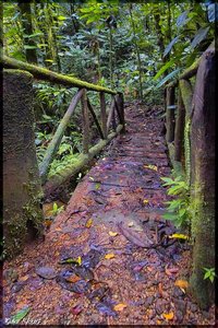 Costa Rica 067.jpg Costa Rica 067.jpg