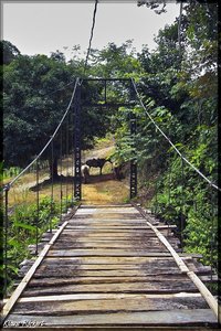 Costa Rica 092.jpg Costa Rica 092.jpg