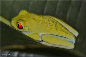 Costa Rica 112.jpg Costa Rica 112.jpg