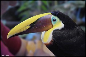 Costa Rica 118.jpg Costa Rica 118.jpg