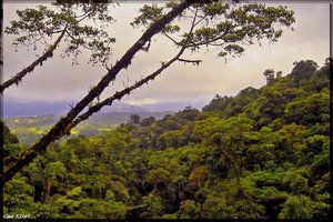 Costa Rica 134.jpg Costa Rica 134.jpg