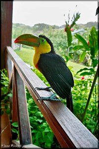 Costa Rica 157.jpg Costa Rica 157.jpg