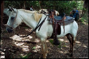 Costa Rica 158.jpg Costa Rica 158.jpg