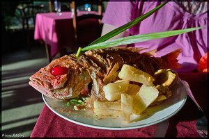 Costa Rica 169.jpg Costa Rica 169.jpg