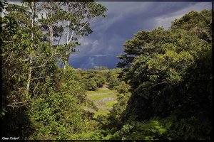 Costa Rica 184.jpg Costa Rica 184.jpg