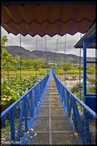 Costa Rica 202.jpg Costa Rica 202.jpg