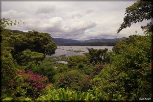 Costa Rica 206.jpg Costa Rica 206.jpg