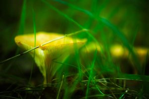 bcp_1309211600SDIM0415.jpg bcp_1309211600SDIM0415.jpg