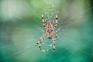 bcp_1309211703SDIM0453.jpg bcp_1309211703SDIM0453.jpg