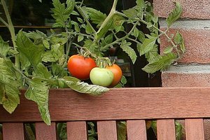 28mm F4-Rand-links-crop.JPG