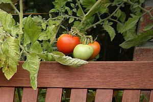 28mm F4-Rand-rechtsb-crop.JPG