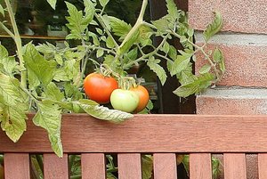 28mm F11-Rand-links-b-crop.JPG