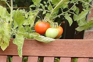 28mm F11-Rand-rechts-b-crop.JPG