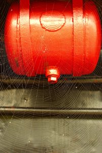 comp__DSF7807.jpg comp__DSF7807.jpg