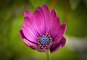 Stack 01 - fertig.jpg