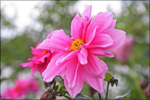 Schloss Lembeck   16.jpg